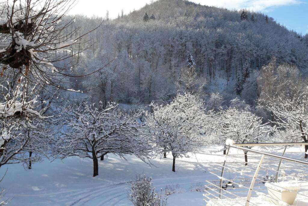 Gite "Entre Champsaur Et Valgodemard" Saint-Jacques-en-Valgodemard Екстер'єр фото